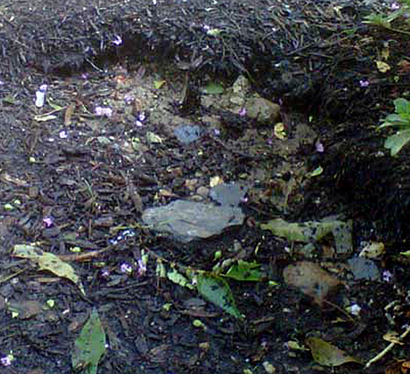 Mulch washed out near a house foundation